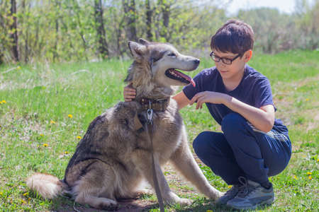 Boy hugging a fluffy alaskan malamute dog