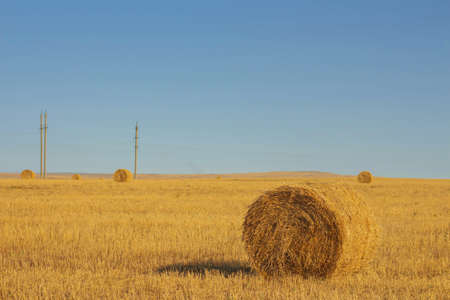 Hay bale. Haystack on rural nature on farmland, straw in the meadow, harvesting