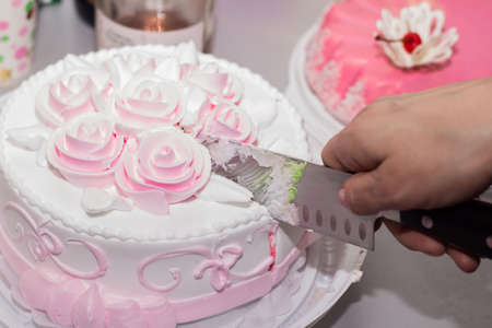 a woman cuts a beautiful cake with a knife