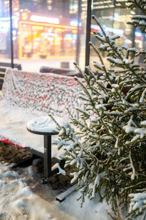 a resting place, snow on a bench and fir treesの写真素材
