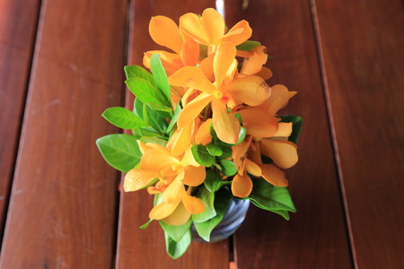 Flowers In A Vase On A Tableの写真素材