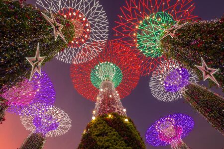 Supertree Grove in Gardens by the Bay at twilight time.