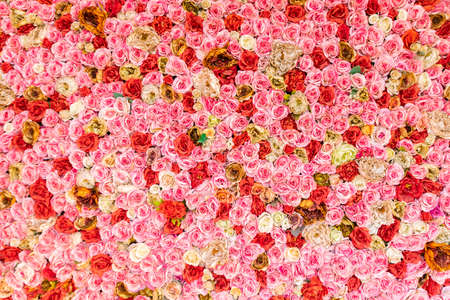 Red, pink , yellow and orange roses wallpaper background texture. Romance love valentine day decoration bouquet bloom.の写真素材