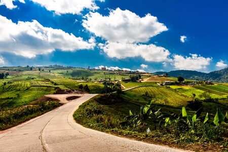 nature with road on hill  and sunny dayの写真素材