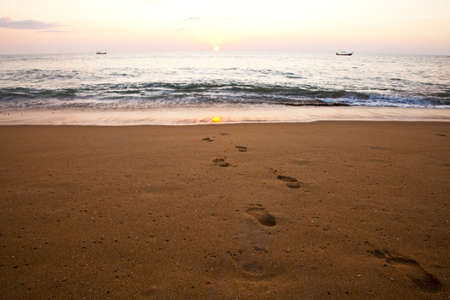 Footprints going towards the seaの写真素材