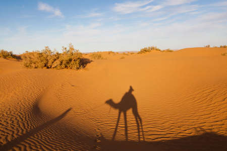 A Tourist on a Camel with a Berber, in the Desert of Moroccoの写真素材