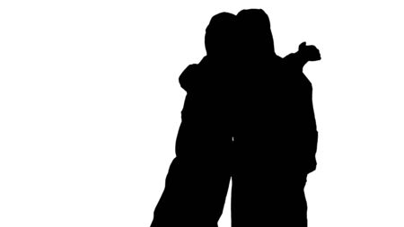 Silhouette Two doctors giving high five after a successful talk.の写真素材