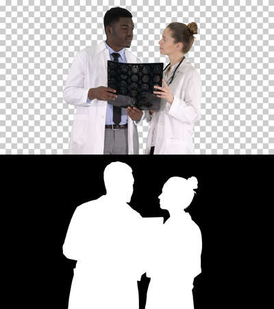 Serious nice woman doctor and afro american doctor study brain xの写真素材