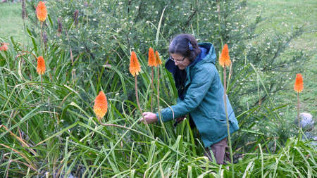 Sintra, Portugal - December 26, 2017: gardener in Quinta De Regaleiras garden.のeditorial素材