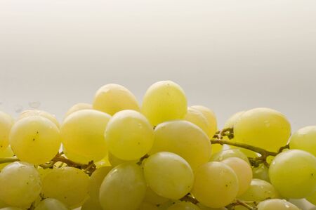 grape branch の写真素材