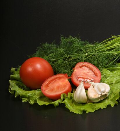 salad setの写真素材