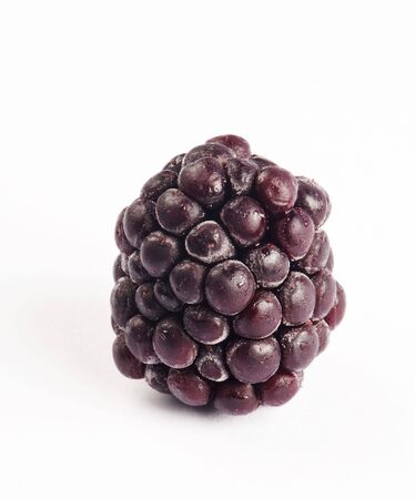 blackberry on the white isolated background の写真素材