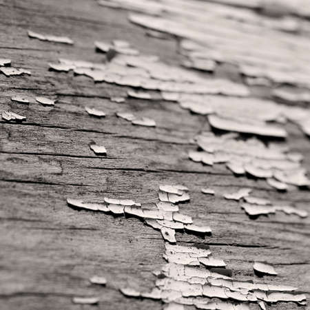 Derelictionの写真素材