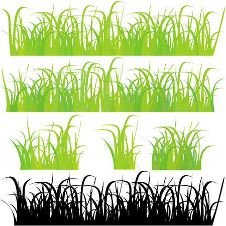 Grass 4 different types のイラスト素材