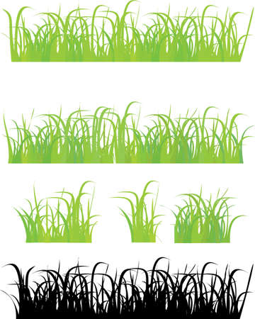 Grass 4 different types , pieces, and silhouetteのイラスト素材