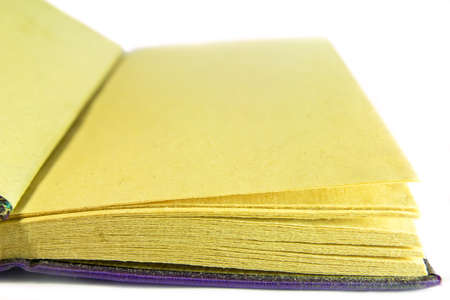 Old Blank Open Book