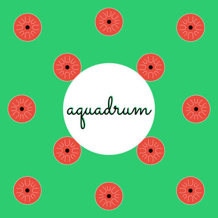 percussion aquadrum on colored background with text flat styleのイラスト素材