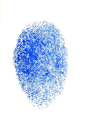 Blue Fingerprint on white backgroundの写真素材