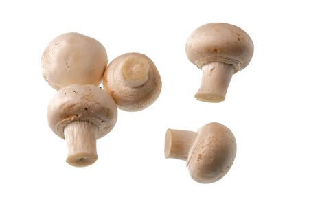 Raw Button Mushrooms on white backgroundの写真素材