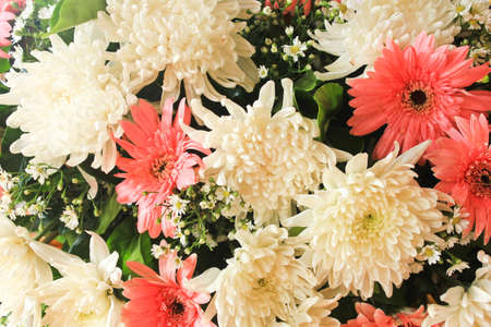 Colorful floral 
