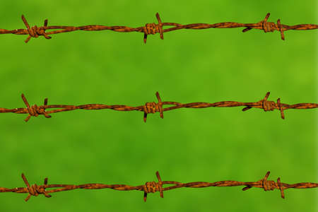 Barbed wire in green backgroundの写真素材