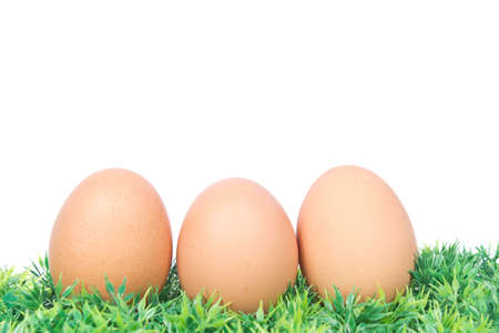 three eggs on grassの写真素材