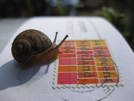 Snail mail の写真素材