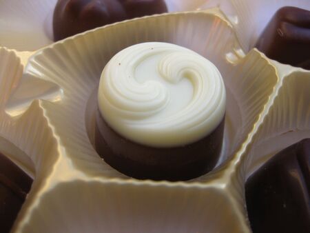 Belgium Chocolate Praline