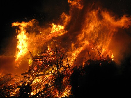 Burning Christmas trees