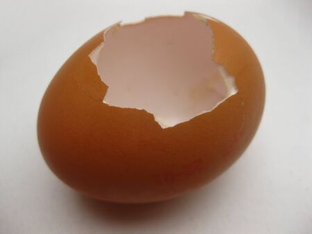 egg scale