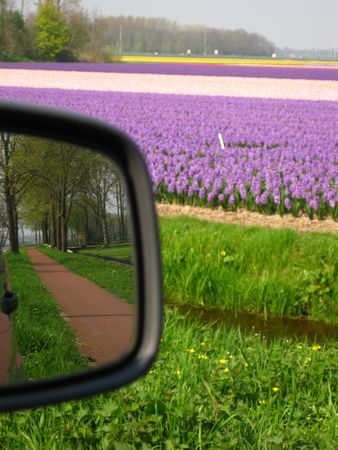 Dutch landscape as seen from the side window of the carの写真素材