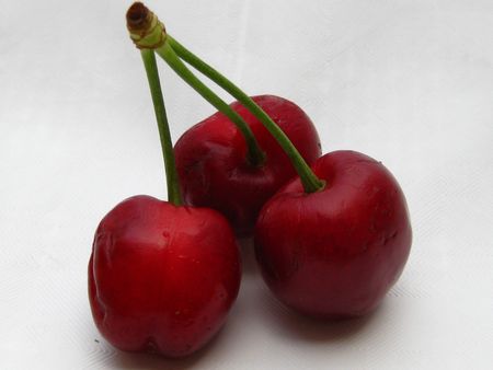 cherry tripletsの写真素材