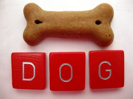 dog biscuitの写真素材