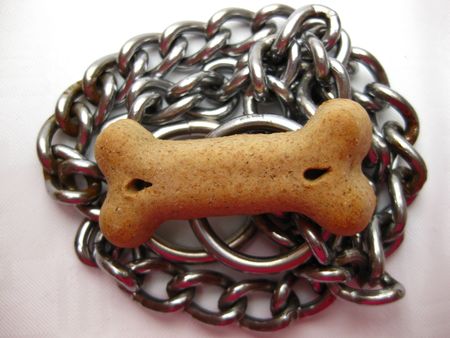 dog leash and bonesの写真素材