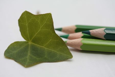 Drawing a greap leafの写真素材