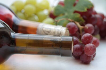 wine bottles and grapesの写真素材