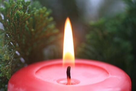A red candle and some christmas leavesの写真素材