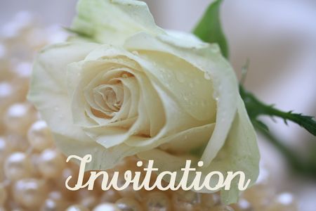 white rose card for (wedding) invitationの写真素材