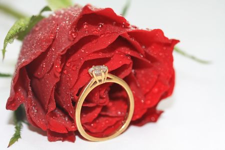 A diamond solutaire engagement ring in yellow gold in front of a red rose, covered with waterdrops, the tears of a brideの写真素材