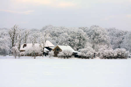 A farm in a forest, meadow covered with snow and frozen treesの写真素材