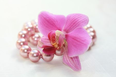 A Phalaenopsis orchid and pearl necklace, both in pinkの写真素材