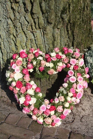 A sympathy flower arrangement, heart shaped and made of pink rosesの写真素材