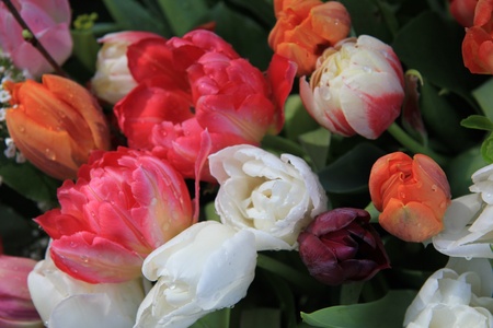 Colorful spring bouquet with tulips in various bright colors