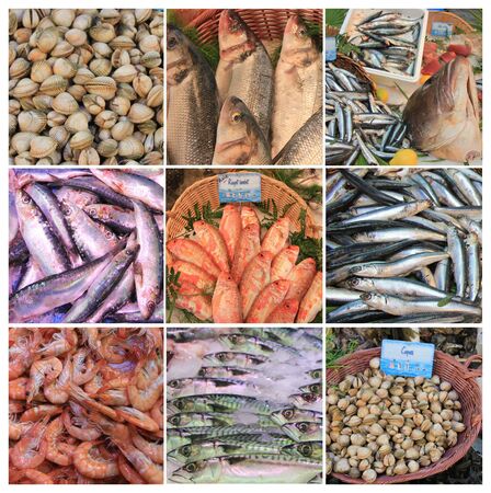 XL collage made from 9 high resolution fish market imagesのeditorial素材