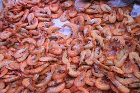 Fresh prawns on a fish market in the Provence, Franceの写真素材