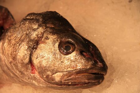 Fresh fish at the fish market in Barcelona, Spain