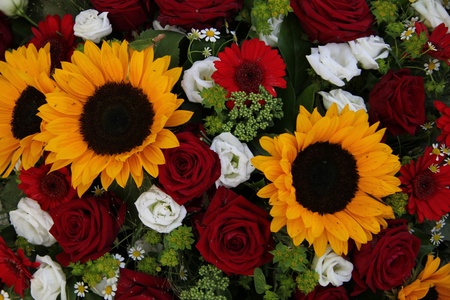 Bright yellow sunflowers and big red roses in a floral arrangementの写真素材
