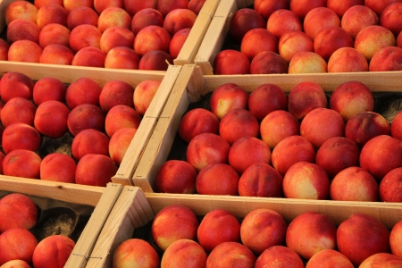 Big peaches displayed in wooden crates at a French marketの写真素材