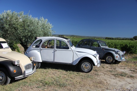 Three classic French cars in a vineyard