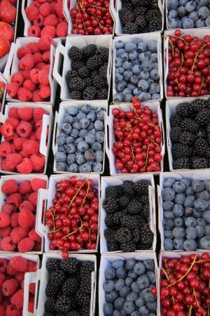 blueberries, rubus, red currant and raspberries, displayed in cardboard boxesのeditorial素材